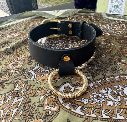 Black Collar with Gold Wire O Ring